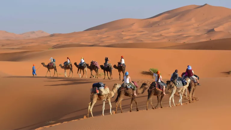 Desert Luxury