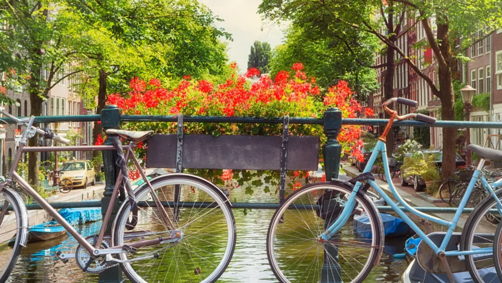 Cycling experience