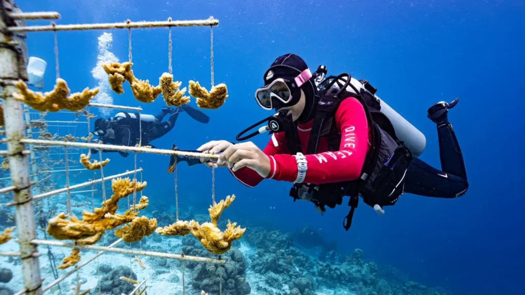 Diving