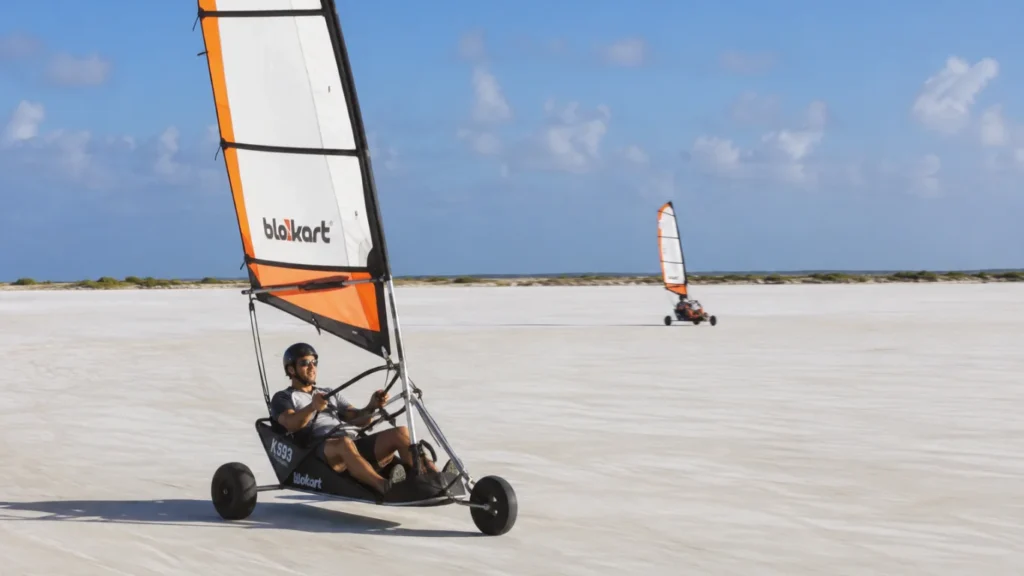 Landsailing