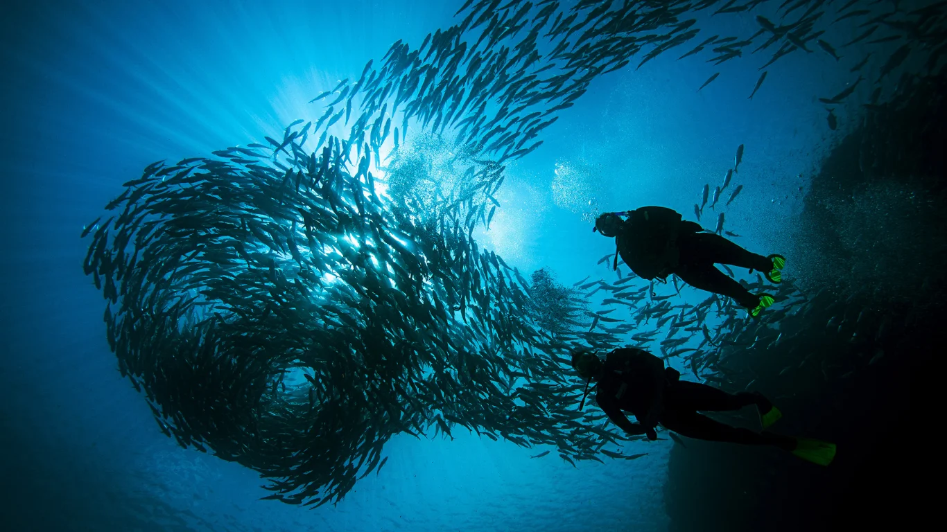 Wind, Water & Wilderness-gallery3