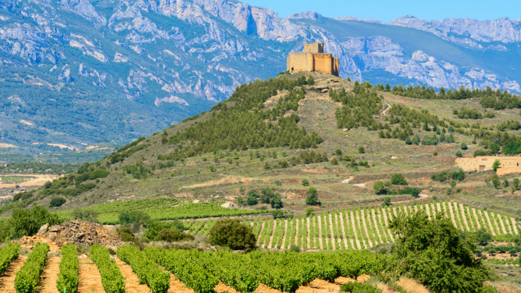 Rioja full experience