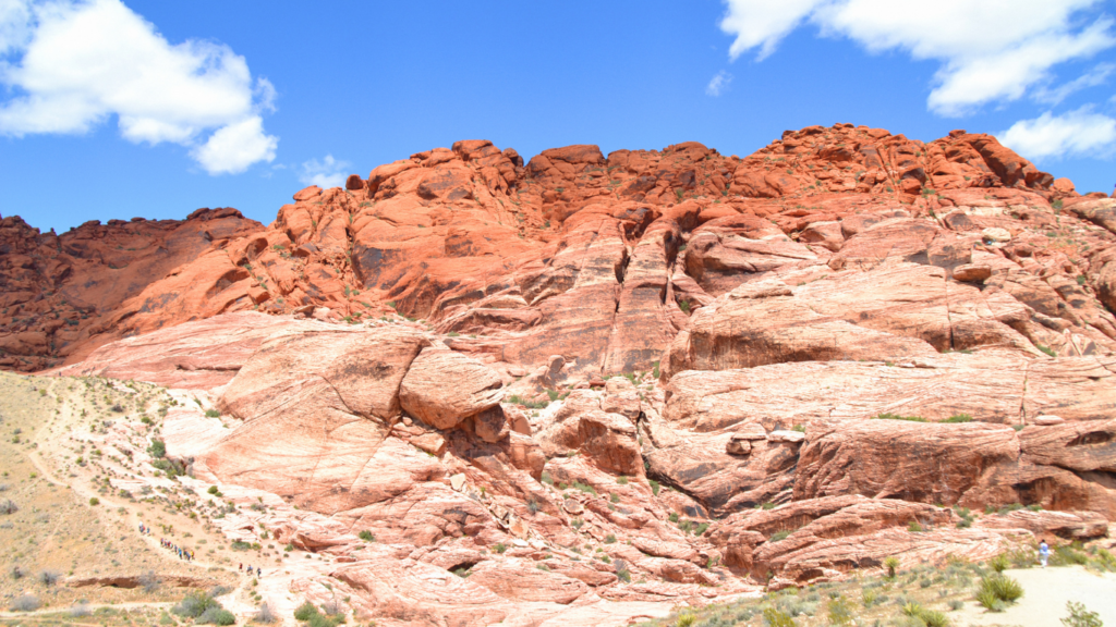 Red Rock Adventure
