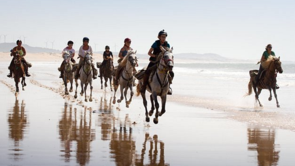 Horseback Riding 