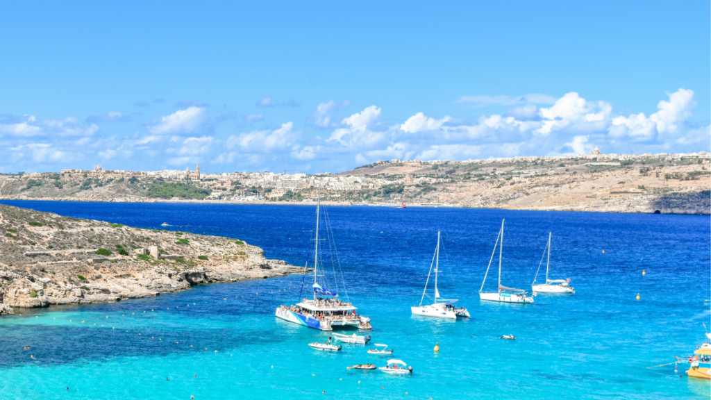 Catamaran tour