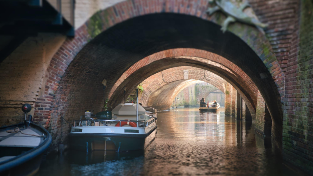 Cruise through Den Bosch
